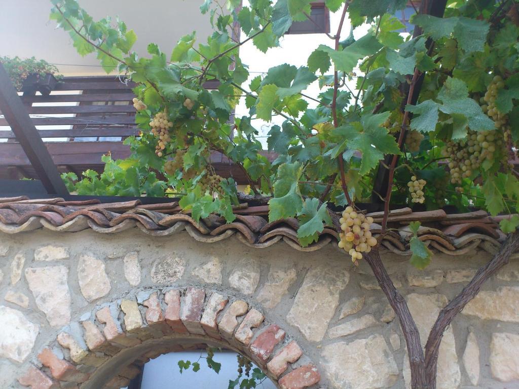 Villa Nasco Sables d'or Extérieur photo